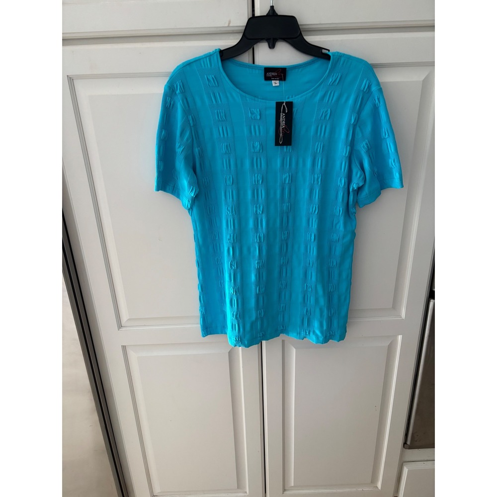 Andria Lieu Collection Blue‎ Textured Knit Short Sleeve Top - L